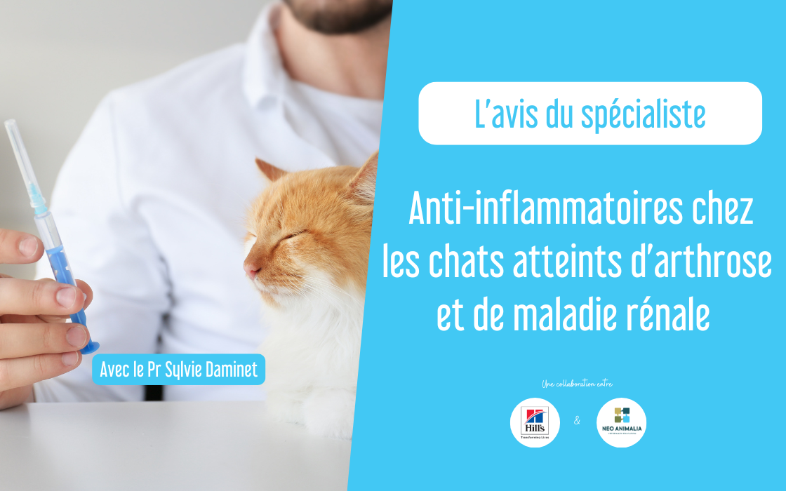 Ost&eacute;oarthrose et anti-inflammatoires lors de maladie r&eacute;nale