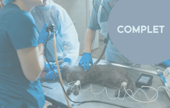 ID1115 - Techniques d'endoscopie digestive et respiratoire - &Eacute;dition 2