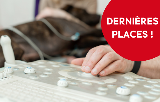 ID1122 - Cycle en &eacute;chocardiographie canine - &eacute;dition 9