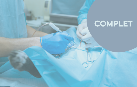 ID1140 - Parcours didactique en chirurgie des carnivores - &eacute;dition 3