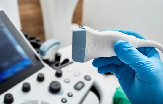 ID1121 - Introduction &agrave; l'&eacute;chographie abdominale des carnivores domestiques - &eacute;dition 13