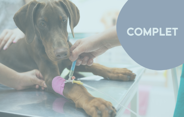 ID1113 - Parcours didactique en m&eacute;decine interne - Edition 1