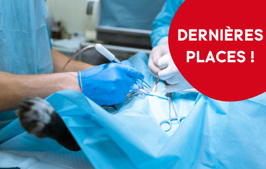 ID1140 - Parcours didactique en chirurgie des carnivores - &eacute;dition 3